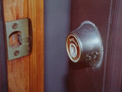 Door and lock